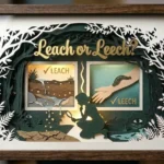 leach or leech