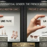 is pais masculine or feminine